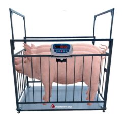 Весы для свиней 300 кг (1250x2000 мм) животных с оградкой, массового взвешивание, от производителя Горизонт